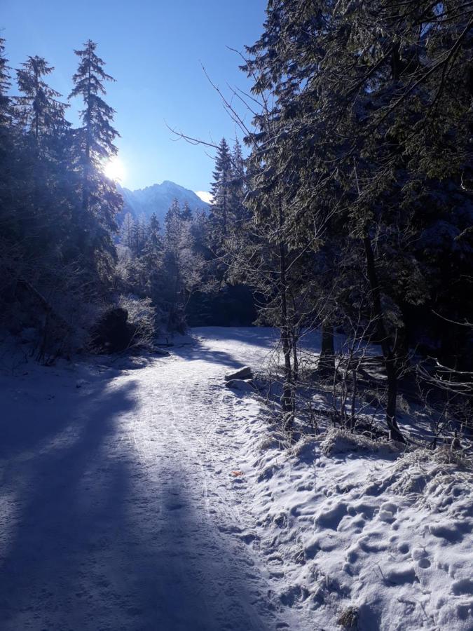 Domek Góralski Chata u Słodkiego Zakopane Exterior foto