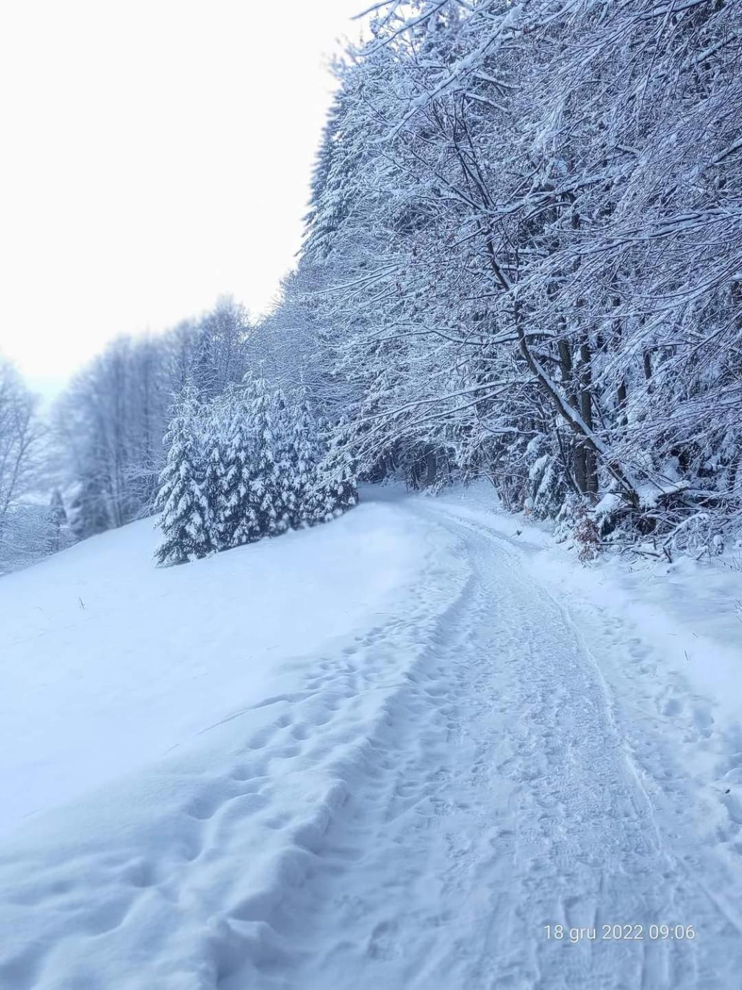 Domek Góralski Chata u Słodkiego Zakopane Exterior foto